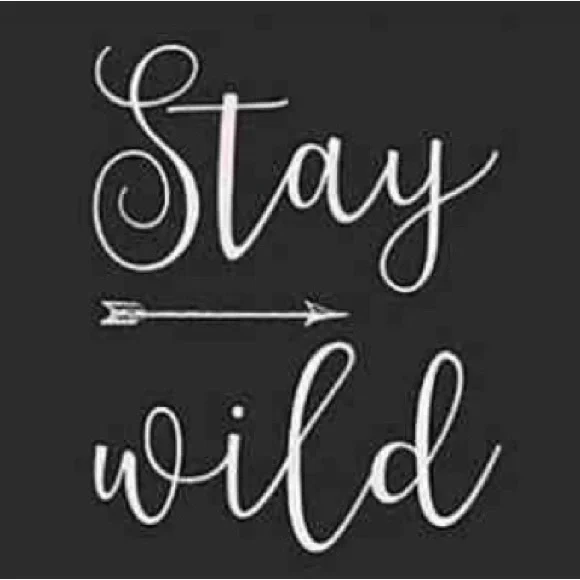 ✨ - Picture 11 of 16